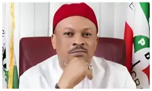 PDP crisis: No force can remove me – Anyanwu gives condition to resign