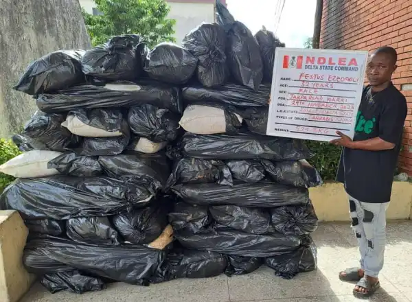 NDLEA Uncovers Meth, Opioid Consignments In Jeans Hems, Dolls, Buttons (Photos)
