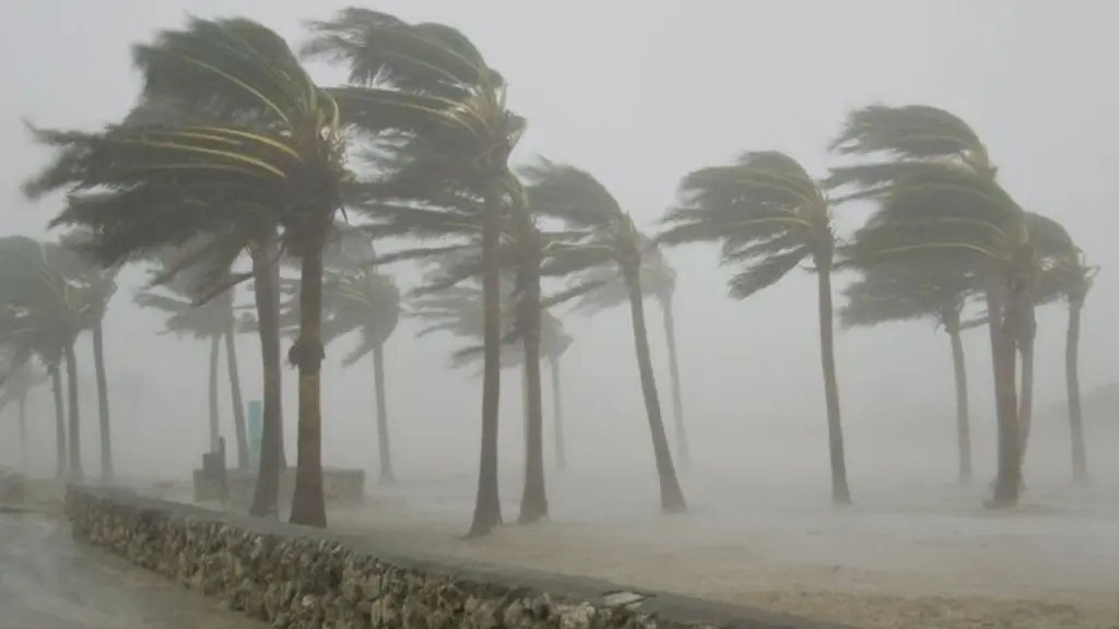 Windstorm kills 4, destroys 1,637 houses in Yobe
