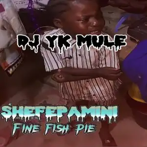 Dj Yk Mule – Shefepamini Fine Fish Pie