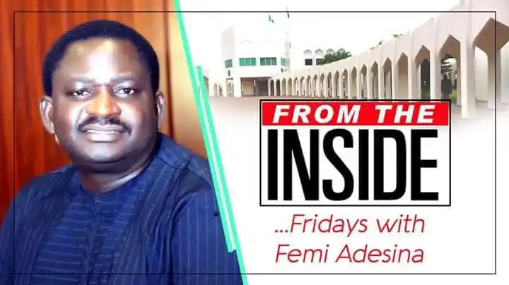 Before Femi Adesina Tasted Power - Tunde Odesola