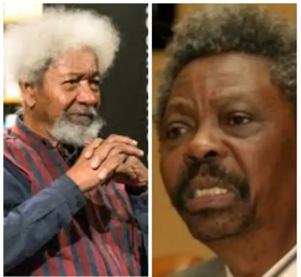 My Last Moments With Femi, My Late Brother - Wole Soyinka Opens Up