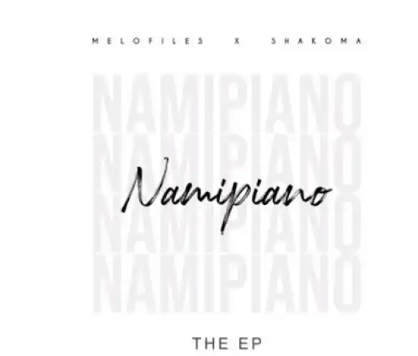 Smallz – Everybody Say T (Namipiano Remix)