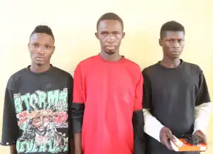 Police arrest 5 for conspiracy, theft, vandalization in Niger