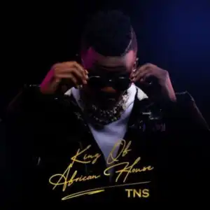TNS – Summer Banger ft. De Mthuda, Sino Msolo, MalumNator, Mpumi, Da Muziqal Chef & Skillz