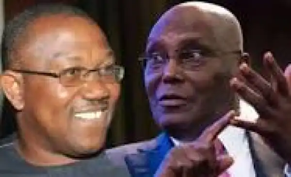 IPAC: Ekiti Election Will Be A Litmus Test For 2023 Polls