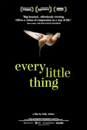 Every Little Thing (2024)