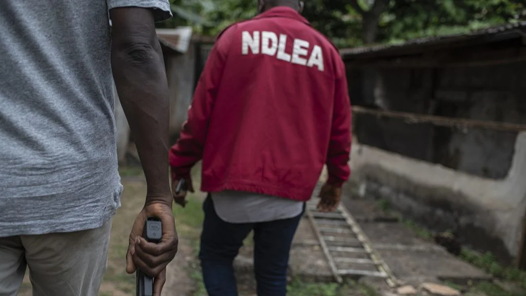 International Day Against Drug Abuse: Osun NDLEA secures 58 convictions