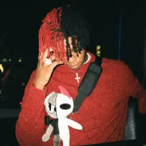 DC The Don – What Now?