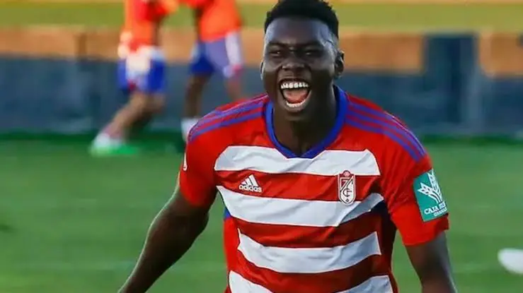 Transfer: Chelsea finally agree £35m deal for Omorodion