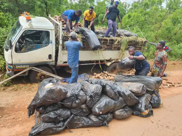 Police arrest five for alleged kidnapping, drug trafficking in Kwara