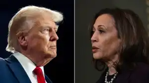 US Election: List of States Won by Trump, Kamala Harris