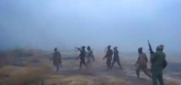 Panic As Boko Haram Terrorists Go On Rampage, Kill 8 Loggers In Borno