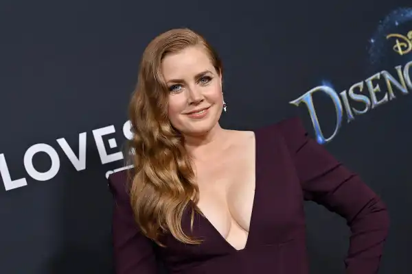 Amy Adams to Star in New Show The Holdout, Sparking Bidding War
