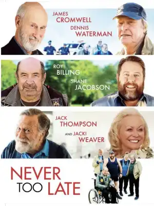 Never Too Late (2020)