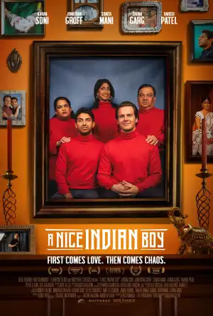 A Nice Indian Boy (2025)