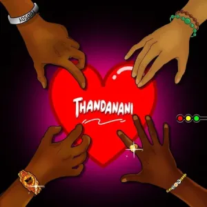 Robot Boii & Nhlonipho – Thandanani Ft. S.O.N, Chukido, PD Jokes & Mac lopez