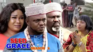 Seed Of Grace Season 6
