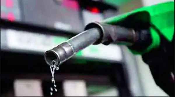 Petrol Price Will Rise To ₦1,000 Per Litre If… — DPR