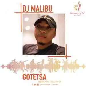 DJ Malibu – Motsweding FM Mix 53