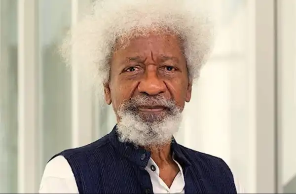 I reported Seyi Tinubu to NSA Ribadu – Wole Soyinka