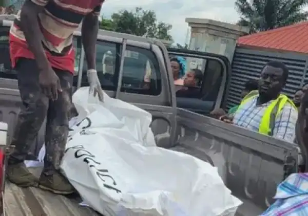 Man Chasing Stubborn Bird Dies After Building Collapsed On Him (Photo)