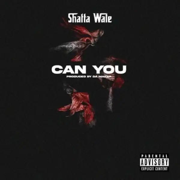 Shatta Wale – Can You