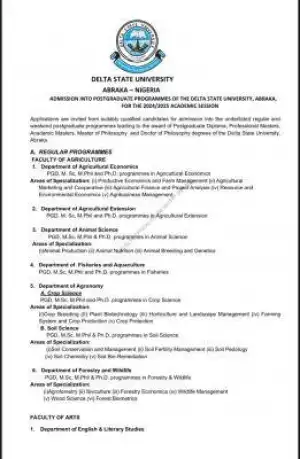 DELSU Postgraduate Admission Form, 2024/2025