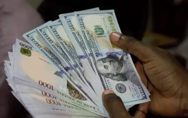 Naira Falls Against Dollar At The Official Market