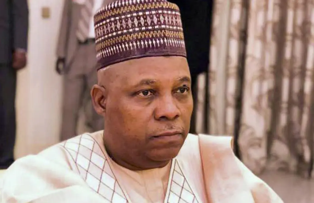 Nigeria’s VP, Shettima cancels trip to Samoa after ‘foreign object’ hits aircraft