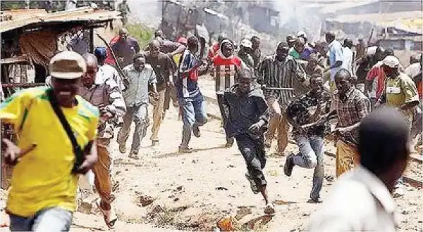 Herdsmen Invade Farms In Ondo, Amotekun Seizes 42 Cows