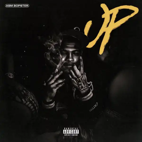ASM Bopster – Up
