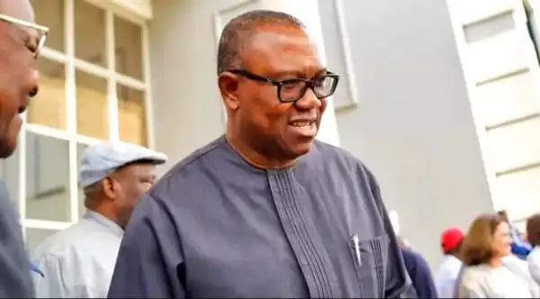 Presidency: Southern, Middle Belt Leaders Endorse Peter Obi