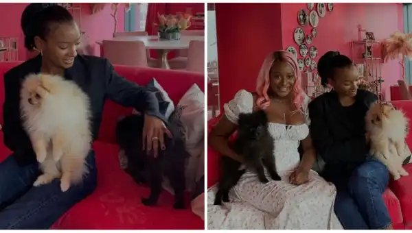 Temi Otedola Shares Lovely Pictures With DJ Cuppy’s ‘Pomeranian Sons’, Calls Them Her ‘Nephew’