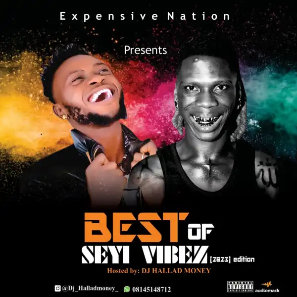 DJ Hallad Money – Best Of Seyi Vibez 2023 Mix