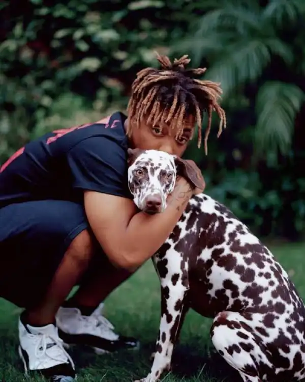 Juice WRLD – Animal (But How)