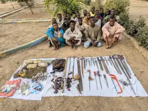 Kano: Police arrest 20 suspects in anti-thuggery operation