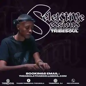 TribeSoul – Selektive Sessions 012 Mix