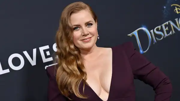 Love of My Life: Amy Adams Developing TV Adaptation of Romance Thriller Novel