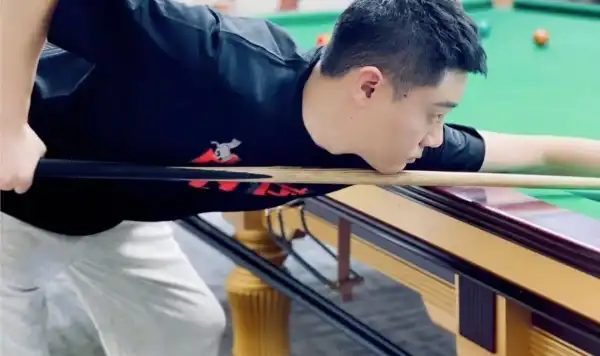 Biography & Career Of Ding Junhui