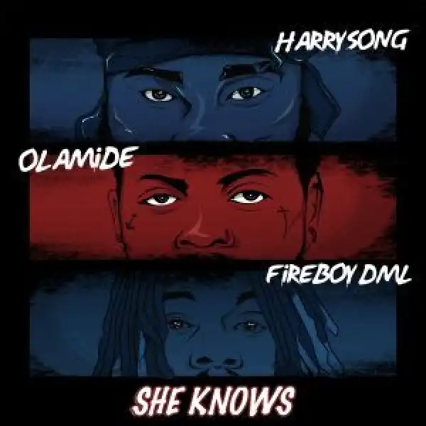 Harrysong Ft. Olamide & Fireboy Dml – She Knows