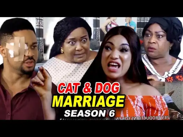 Cat & Dog Marriage Season 6