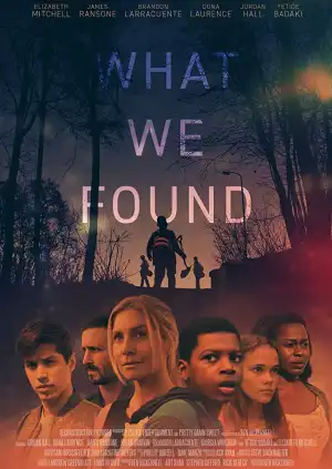 What We Found (2020)