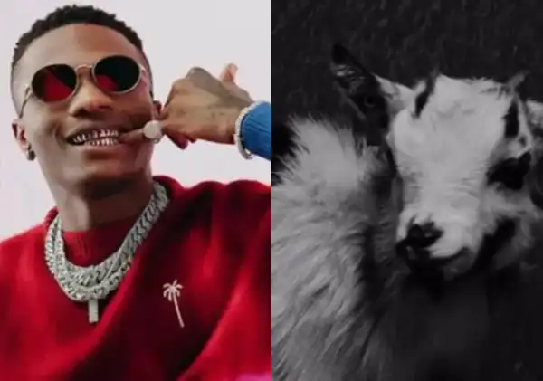 Wizkid Sends Daring Message As He Poses With Goat In Snippet From Morayo Album