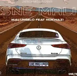 Malungelo – Sne Mali ft. Nokwazi