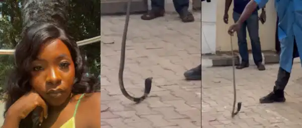 “Three Snakes Found At Nanyah’s Home Following Fatal Bite”- Choir Director Reveals