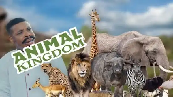Woli Agba – Animal Kingdom (Full Video)