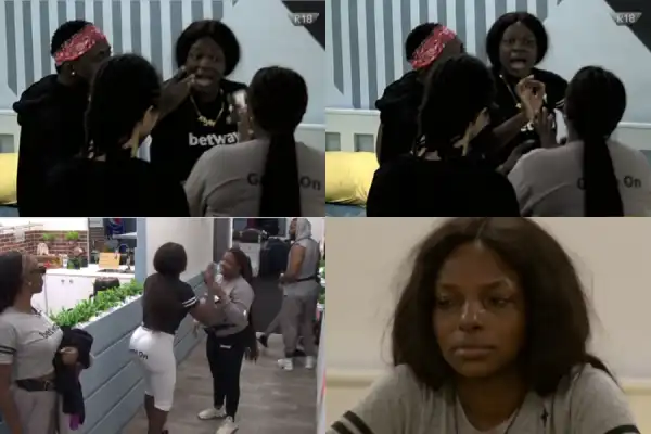 #BBNaija: Housemates Engage In Argument Which Nearly Ended In A Brutal Fight, Wathoni Cries (Video)