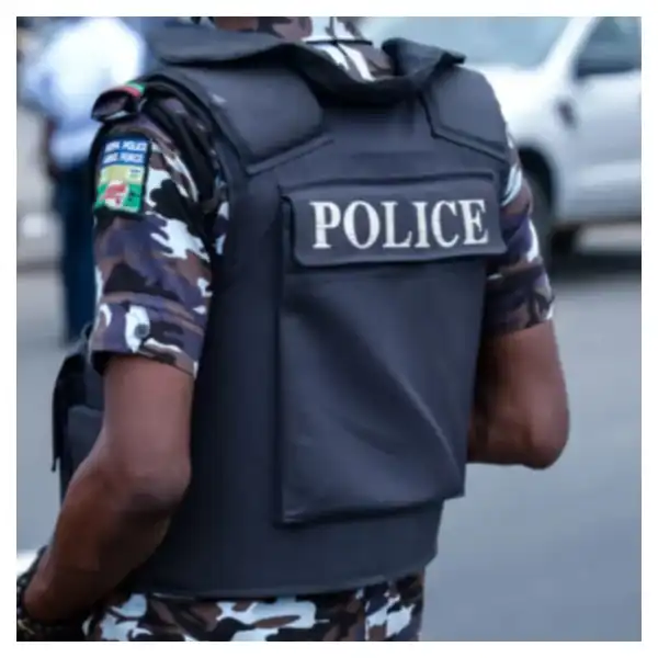 Police recover 15 cows stolen by bandits in Zamfara attack