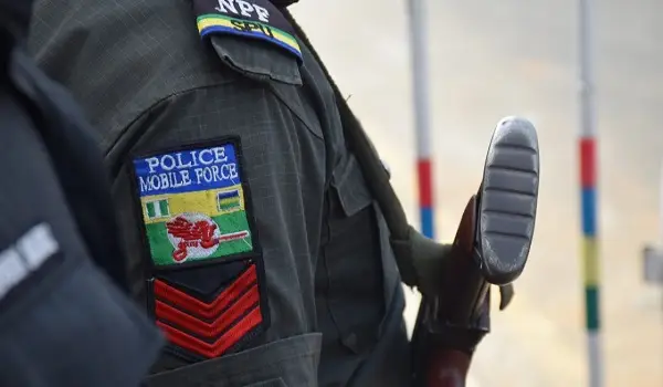 Police arrest 33 over murder of village head in Niger